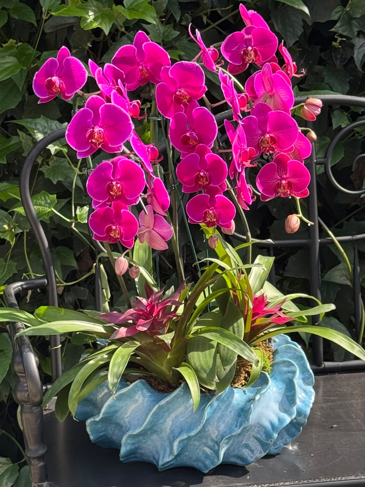 Côte d´Azur — Poeme Flores, floricultura em Jundiaí